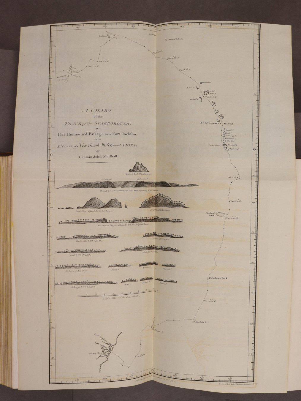 Plate 38